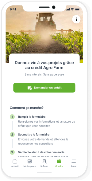 Elevage de poulets