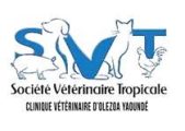 LOGO CLINIC VETERINAIRE_Plan de travail 1